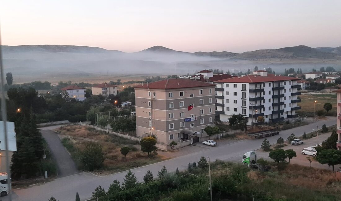 Yozgat’ın Yerköy ilçesinde, şehitlik yakınındaki çöp döküm alanında zaman zaman