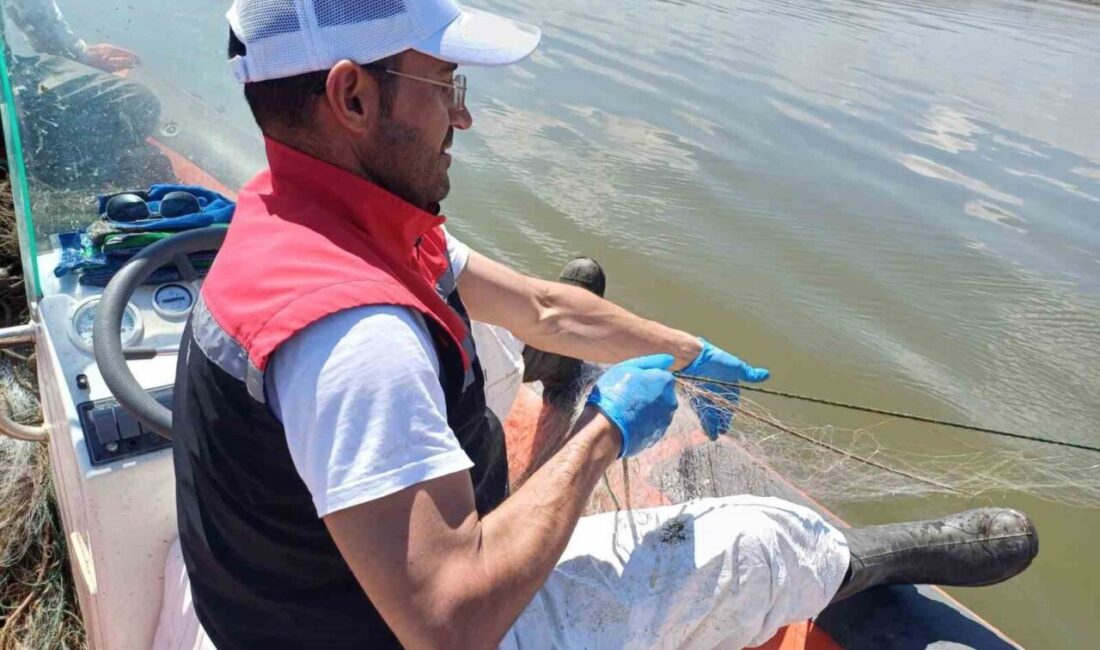 Çorum’da, İl Tarım ve Orman Müdürlüğü ekipleri tarafından gerçekleştirilen su