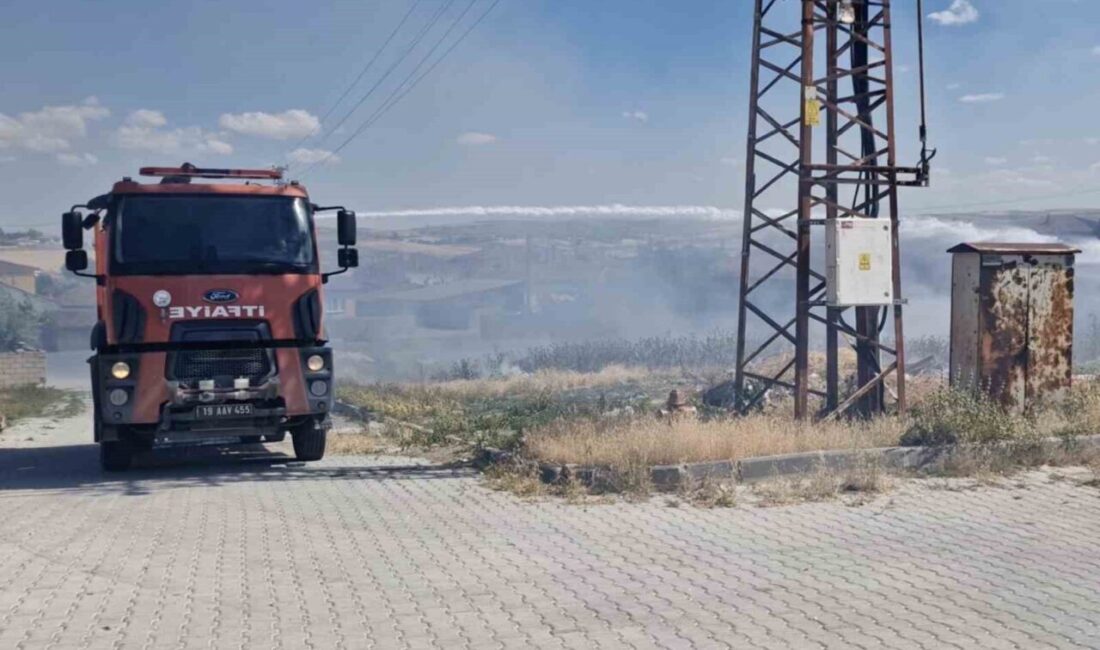 Çorum’un Alaca ilçesinde, Özhan Mahallesi Üsküdar Sokak’ta bulunan boş bir