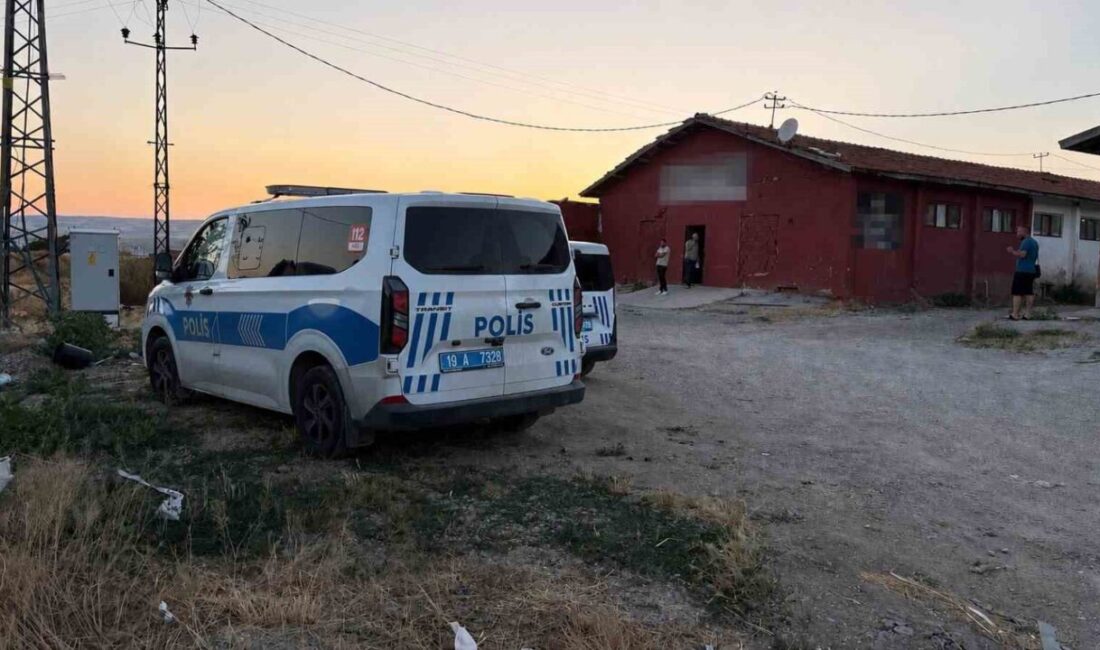 Çorum’da meydana gelen kavgada bir kişi tüfekle yaralandı. Olay, Merkez