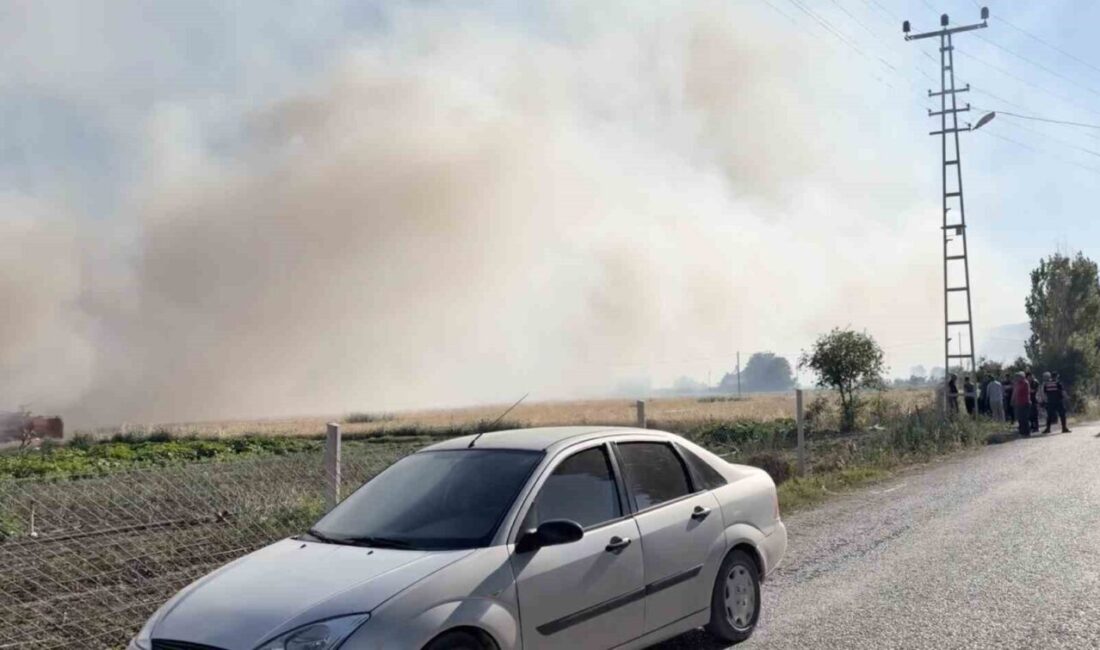 Çorum’da Yaydiğin köyüne bağlı bir tarlada meydana gelen yangın, itfaiye