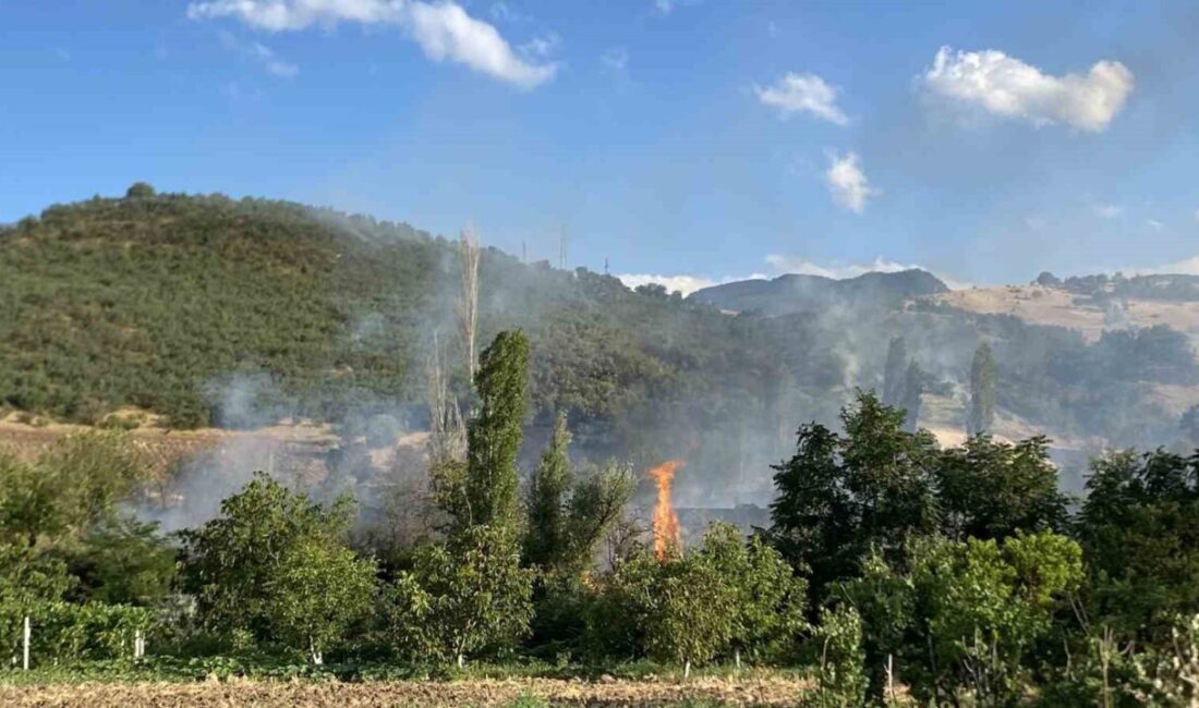 Çorum’un Laçin ilçesinde meydana gelen orman yangını, itfaiye ve orman