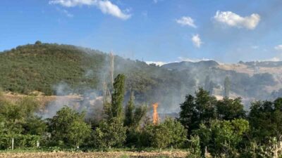 Çorum’un Laçin ilçesinde meydana gelen orman yangını, itfaiye ve orman