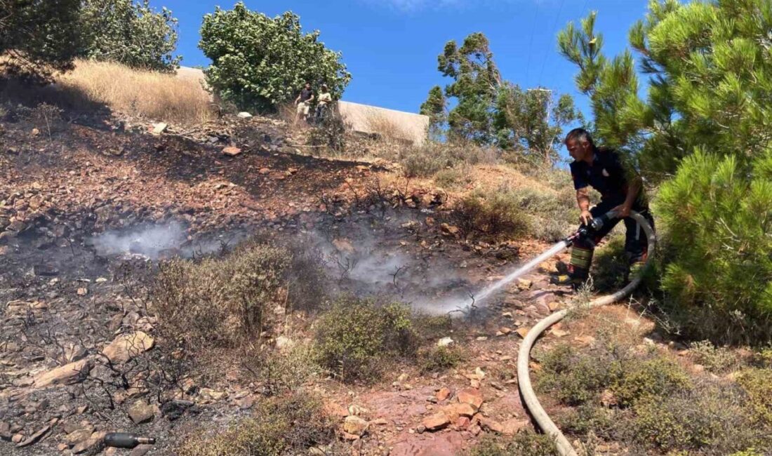 Alibey (Cunda) Adası’nda meydana gelen orman yangını, ekiplerin hızlı müdahalesiyle