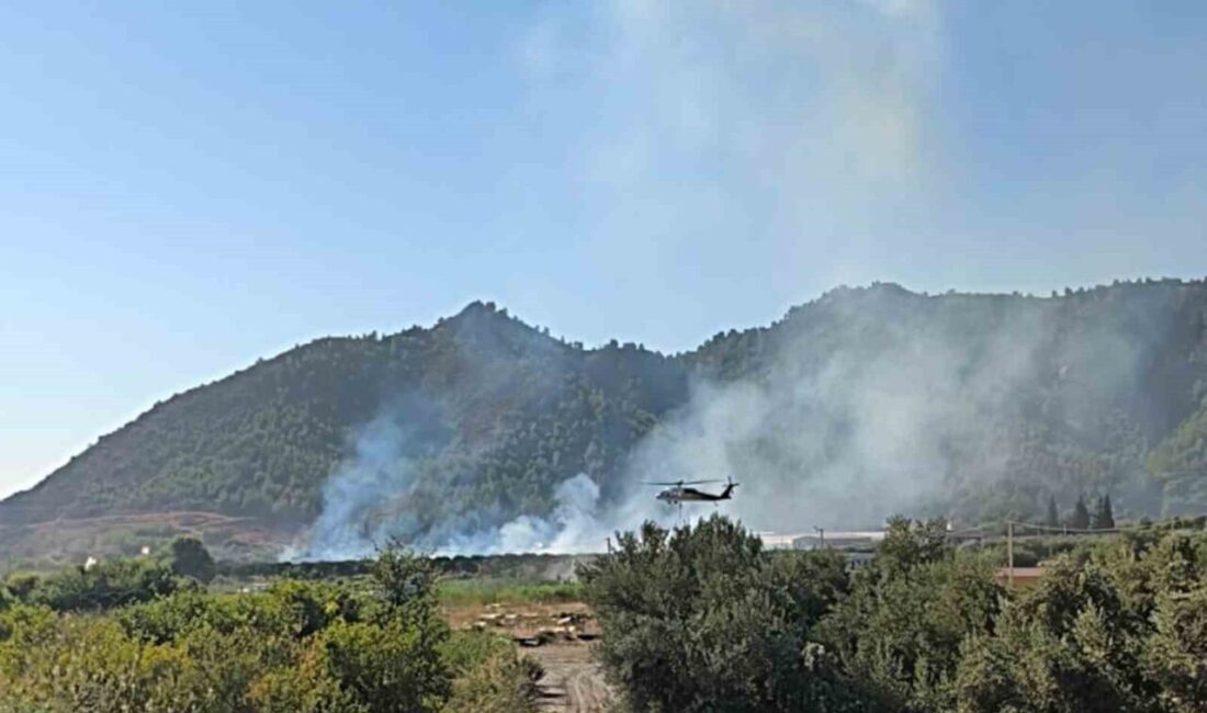 Muğla’nın Dalaman ilçesinde bir tarım arazisinde başlayan yangın, hava ve