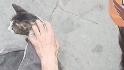 Eskişehir’de, Dorlion Arama Kurtarma (DAK) ekipleri tarafından iple erişim tekniği