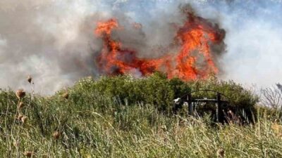 Muğla’nın Datça ilçesindeki makilik alanda başlayan yangın, ekiplerin hava ve