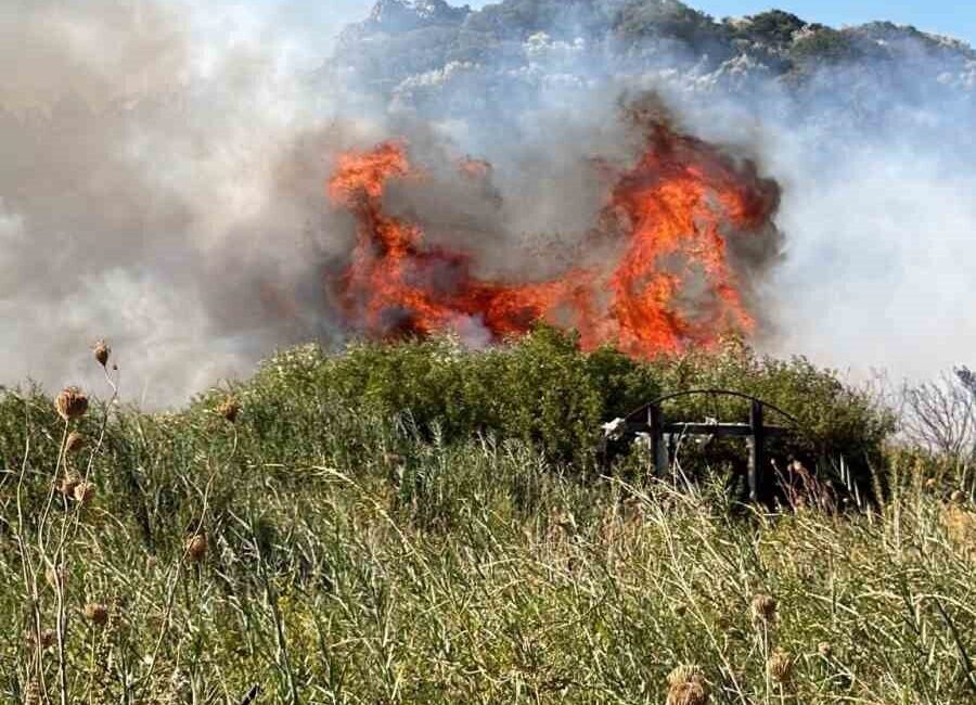 Muğla’nın Datça ilçesindeki makilik alanda başlayan yangın, ekiplerin hava ve