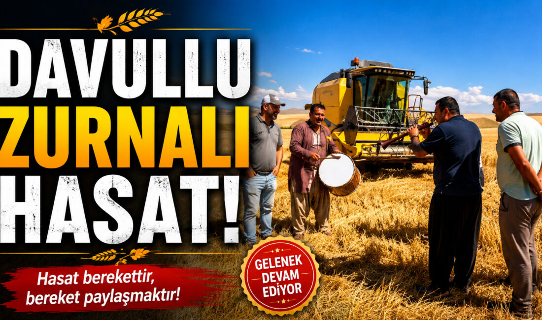 Tarım bölgelerinde buğday ve arpa hasadı, Anadolu’nun köklü geleneklerini yansıtan