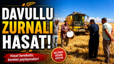Tarım bölgelerinde buğday ve arpa hasadı, Anadolu’nun köklü geleneklerini yansıtan