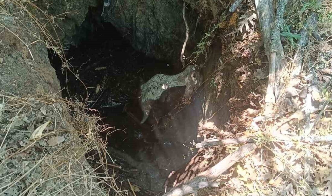 Eskişehir’de, Bozdağ Mahallesi’nde define arayanlar tarafından kazılan derin çukura düşen