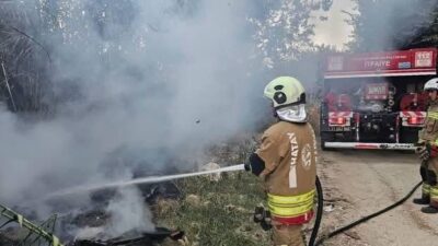 Defne ilçesindeki sazlık alanda çıkan yangın, ekiplerin hızlı müdahalesi sayesinde