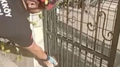 Yalova’nın Çiftlikköy ilçesinde bir kirpi, demir kapının arasında sıkışarak mahsur