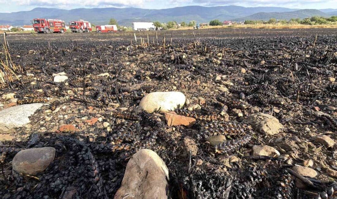 Bolu’da, kimliği belirsiz kişilerin hurda bir kanepeden sıçrayan alevler, 10