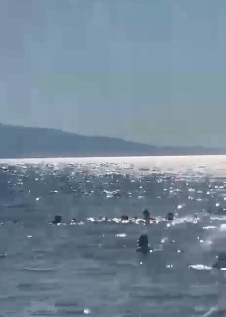 Baba ve 2 kızının Bursa’daki Gemlik ilçesi Kumsaz sahilinde yaşadığı