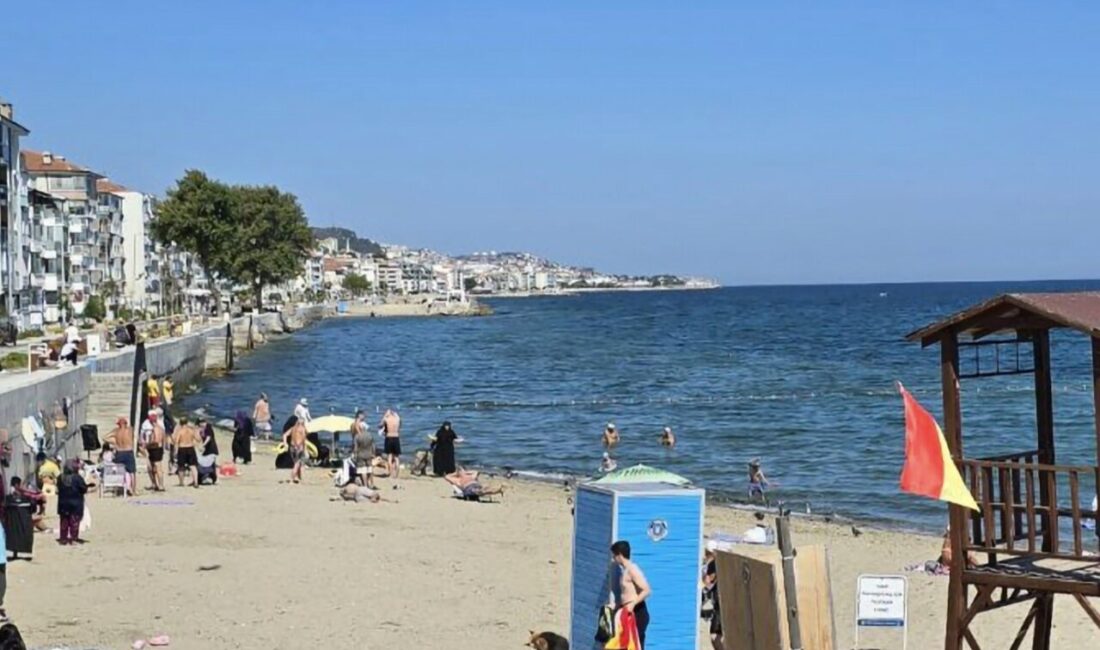 Güzelyalı Burgaz Sahili’nde sabah saatlerinde, deniz yüzeyinde yüzüstü şekilde hareketsiz