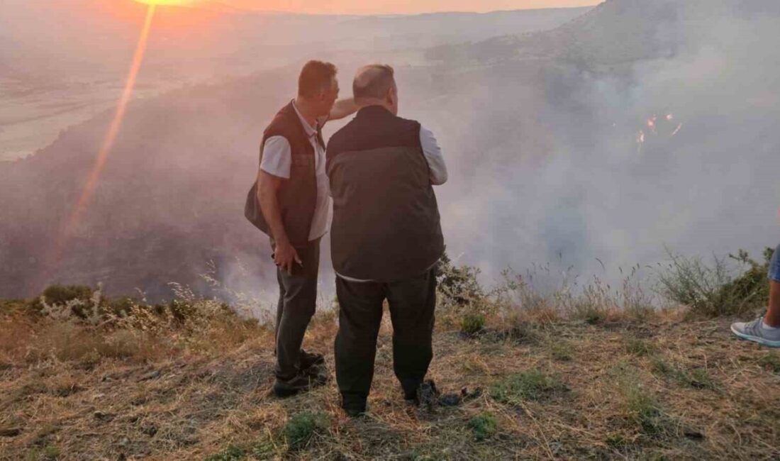 Denizli Orman Bölge Müdürlüğü, hava sıcaklıklarının artması ve nem oranının