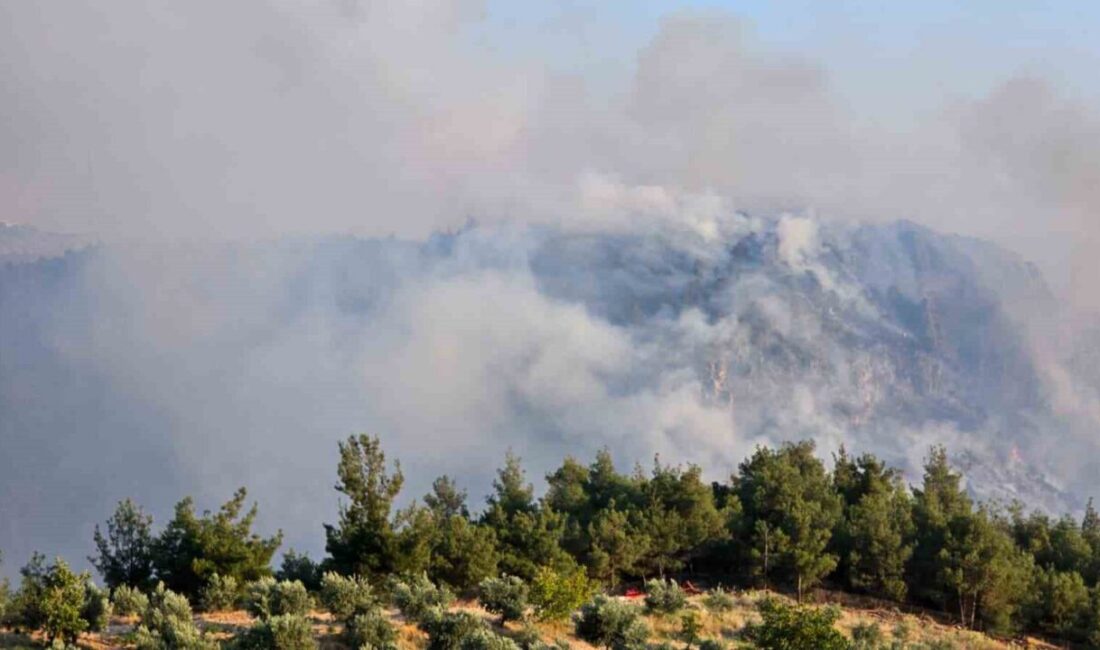 Pamukkale ilçesindeki dünyaca ünlü travertenlere yakın ormanlık alanda çıkan yangın,