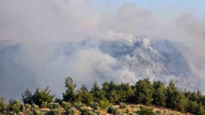 Pamukkale ilçesindeki dünyaca ünlü travertenlere yakın ormanlık alanda çıkan yangın,