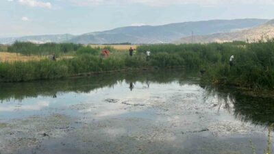 Muş’un Sungu beldesinde balık tutmak için dere kenarına giden 18