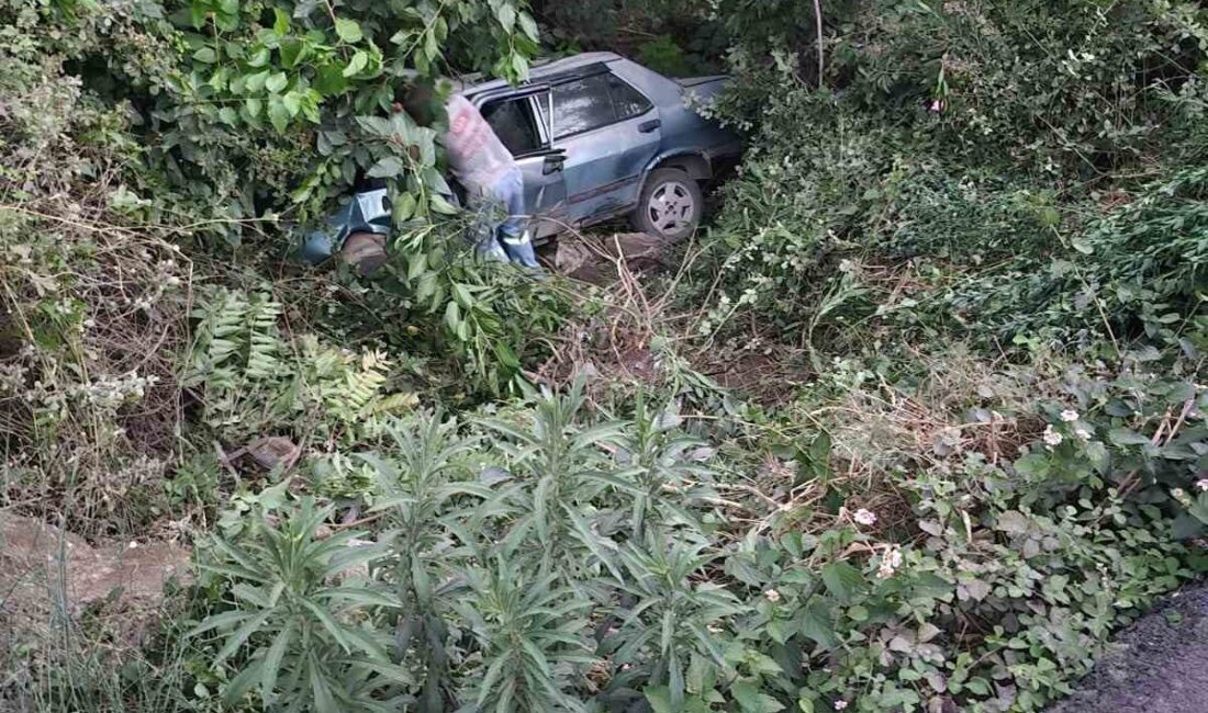 Hatay’ın Payas ilçesine bağlı Sincan Mahallesi’nde meydana gelen trafik kazasında,