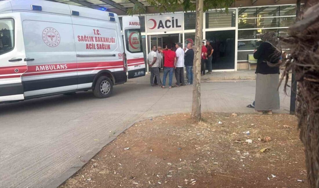 Halfeti ilçesinde meydana gelen bir düğünde, dernek başkanı havaya ateş