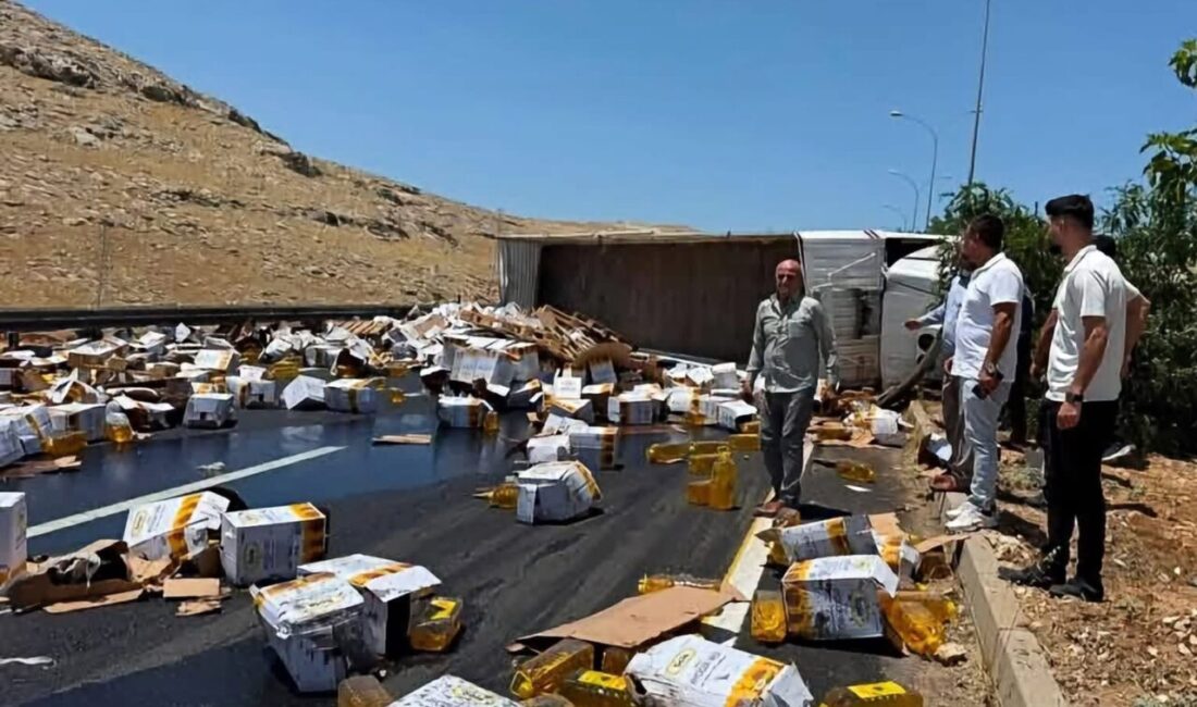 Şanlıurfa’da meydana gelen bir olayda, Şanlıurfa-Akçakale çevreyolunda seyreden ve sürücüsünün