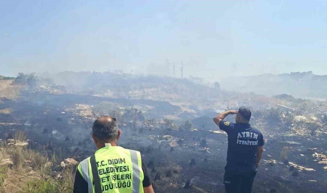 Didim ilçesinde meydana gelen arazi yangını, hızlı bir şekilde söndürüldü.
