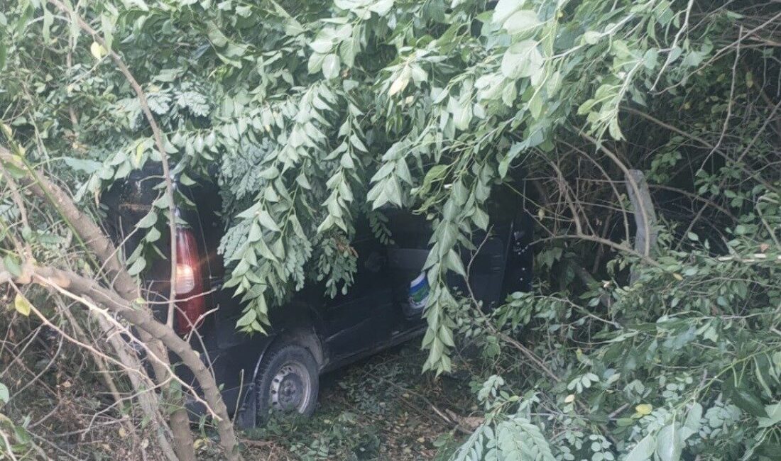 Samsun’un Tekkeköy ilçesinde, direksiyon kontrolünü kaybeden 68 yaşındaki bir kamyonet