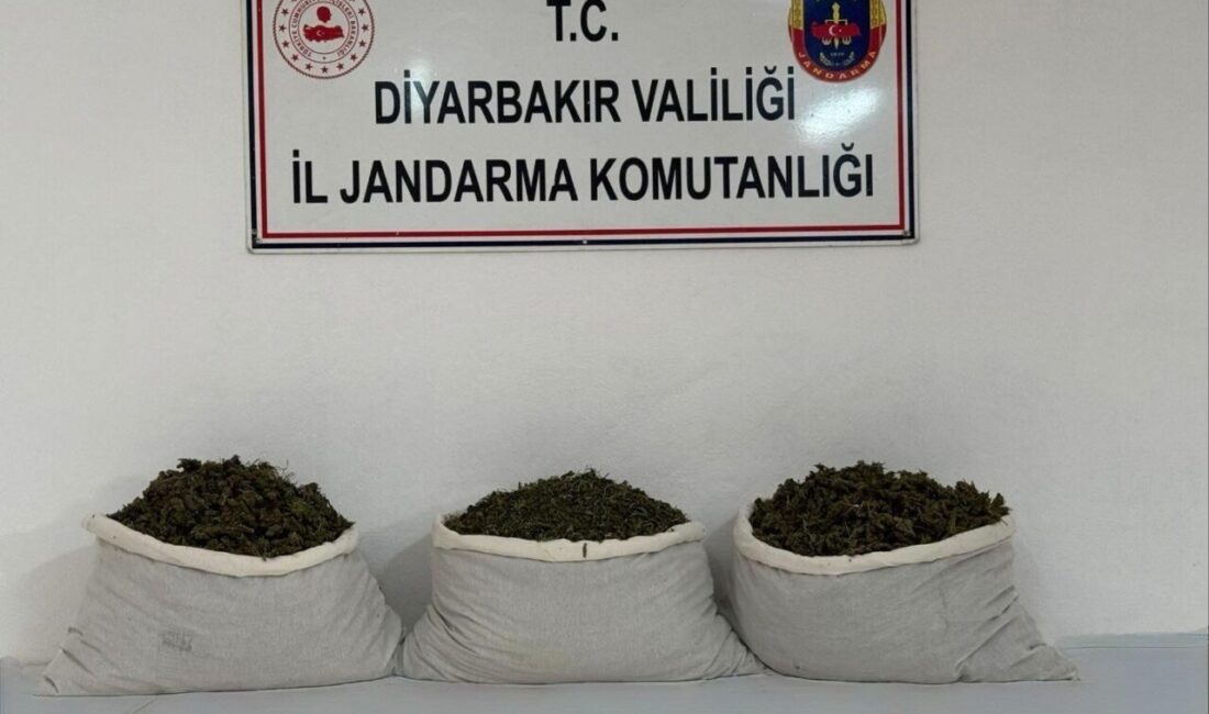 Diyarbakır’da gerçekleştirilen jandarma operasyonunda 107 kilogram esrar ele geçirildi ve
