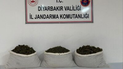 Diyarbakır’da gerçekleştirilen jandarma operasyonunda 107 kilogram esrar ele geçirildi ve