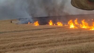 Diyarbakır’ın Silvan ilçesinde, anızların bulunduğu yaklaşık 5 bin dönümlük tarla