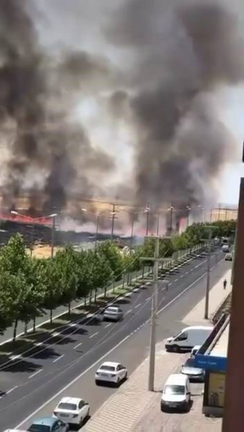 Diyarbakır’da, Bağlar ilçesi Bağcılar Mahallesi Siverek Caddesi üzerindeki otluk alanda