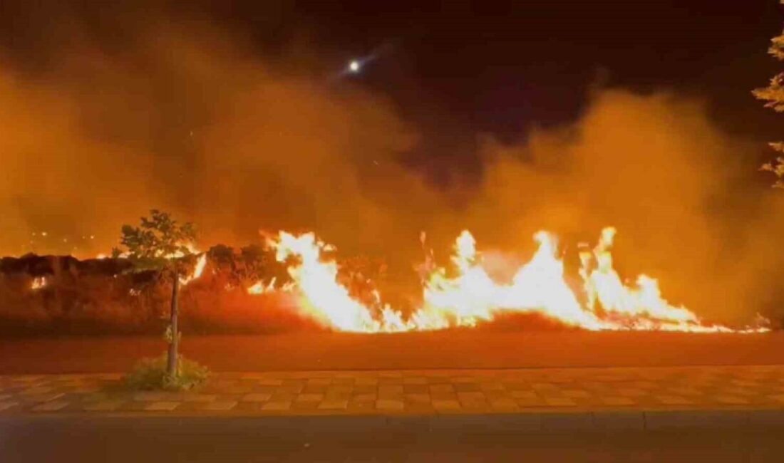 Kayapınar ilçesindeki bir otluk alanda başlayan yangın, dün gece yaşanan