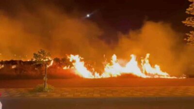 Kayapınar ilçesindeki bir otluk alanda başlayan yangın, dün gece yaşanan
