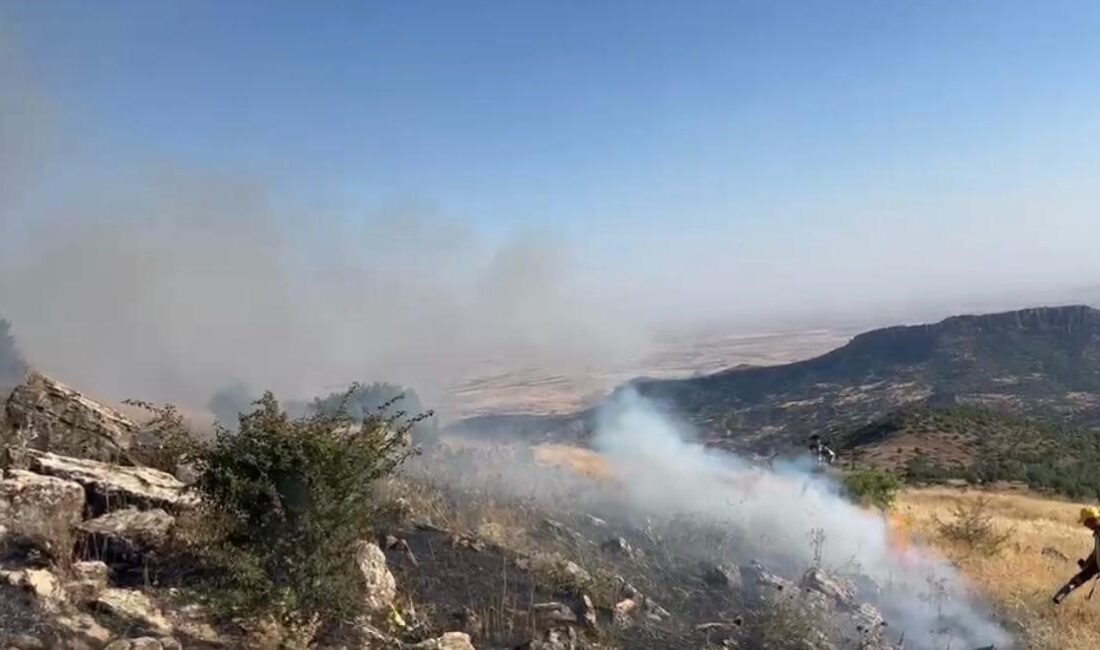 Diyarbakır’ın Hazro ilçesindeki Çitlibahçe Mahallesi’nde meydana gelen örtü yangını itfaiye,