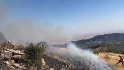 Diyarbakır’ın Hazro ilçesindeki Çitlibahçe Mahallesi’nde meydana gelen örtü yangını itfaiye,