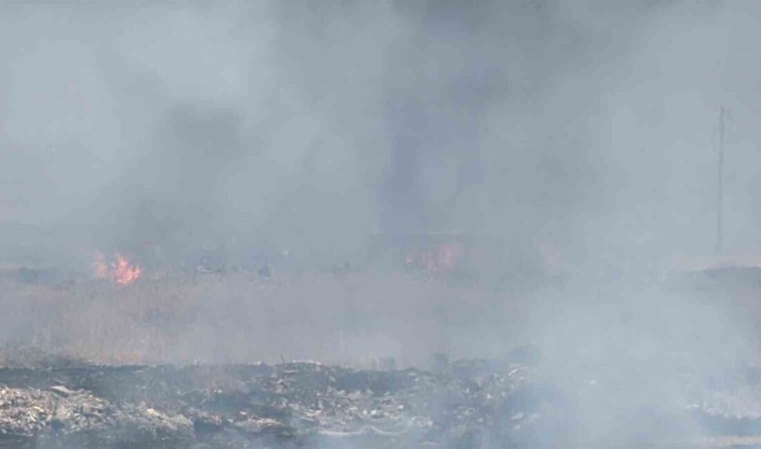 Diyarbakır’ın Yenişehir ilçesindeki bir otluk alanda çıkan yangın, bölge sakinlerinde