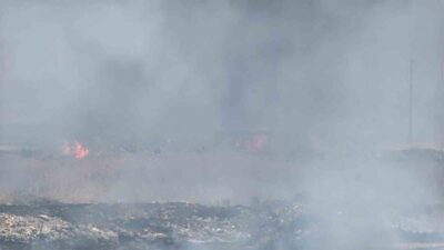 Diyarbakır’ın Yenişehir ilçesindeki bir otluk alanda çıkan yangın, bölge sakinlerinde