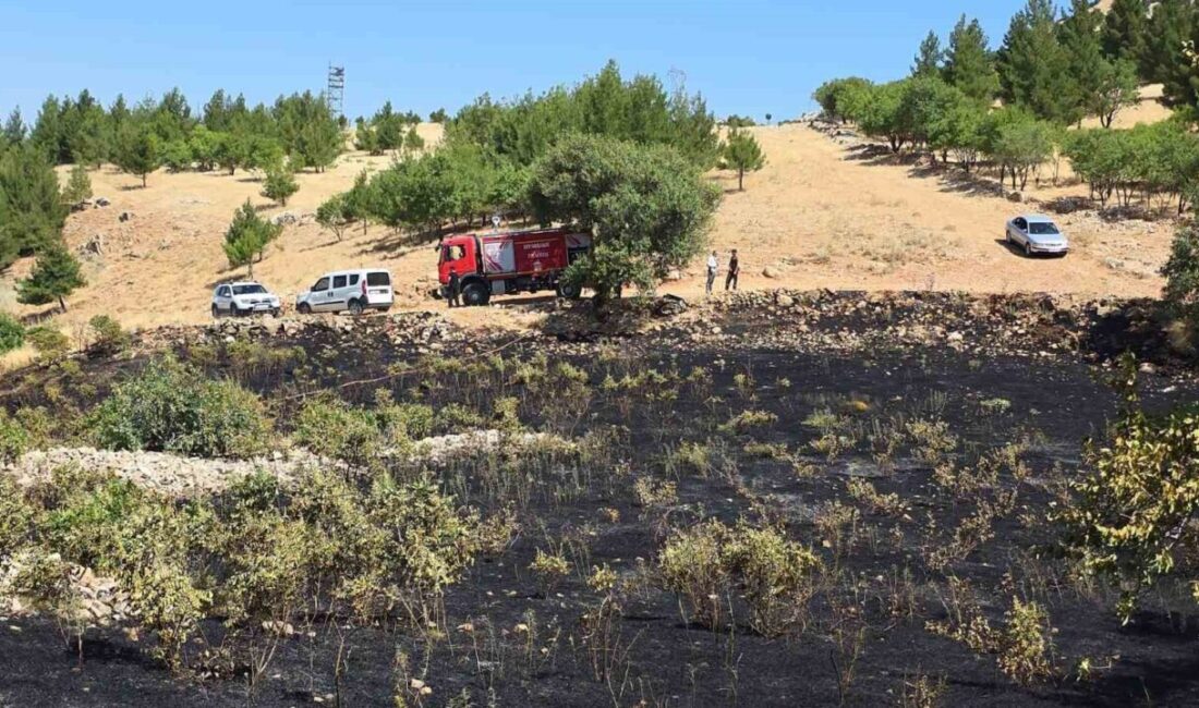 Diyarbakır’ın Ergani ilçesinde meydana gelen yangın, bir kuşun yüksek gerilim