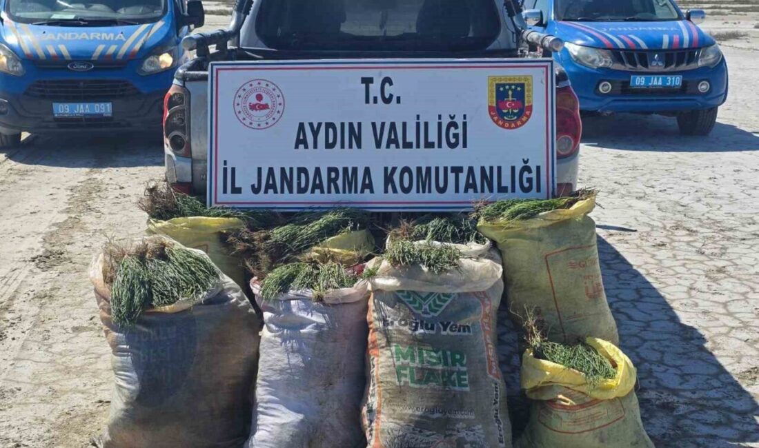 Didim ilçesinde Jandarma ekipleri tarafından gerçekleştirilen denetimlerde, doğal koruma alanlarında