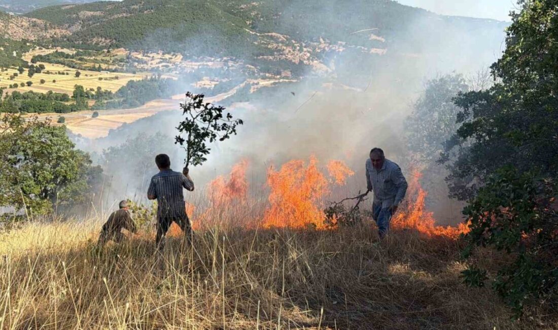 Domaniç ilçesinde tarım arazisinde başlayan ve ardından ormanlık alana sıçrayan