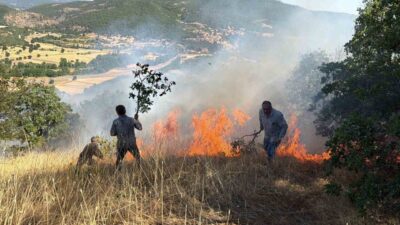 Domaniç ilçesinde tarım arazisinde başlayan ve ardından ormanlık alana sıçrayan