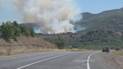 Domaniç ilçesinde tarlada başlayan yangın, çevredeki ormanlık alana sıçradı. Güney