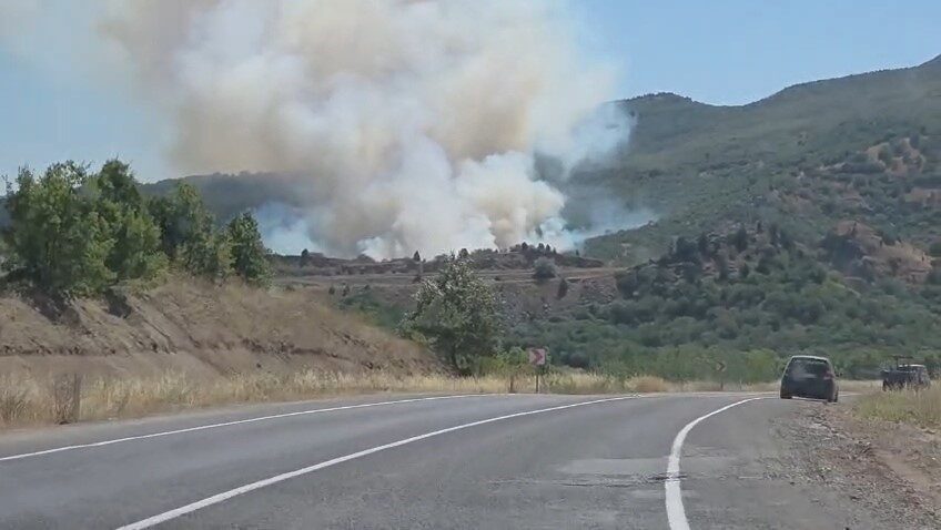 Domaniç ilçesinde tarlada başlayan yangın, çevredeki ormanlık alana sıçradı. Güney