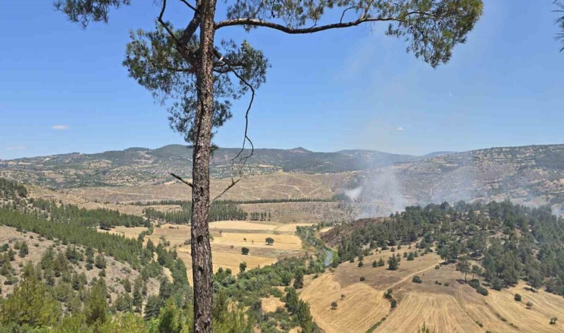 Balıkesir’in Dursunbey ilçesine bağlı Adaören kırsal mahallesine yakın bir bölgede,
