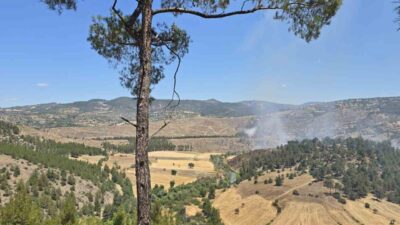 Balıkesir’in Dursunbey ilçesine bağlı Adaören kırsal mahallesine yakın bir bölgede,