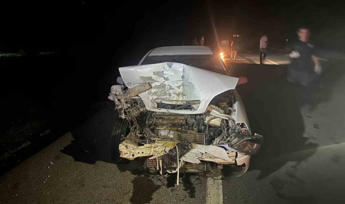 Balıkesir, Dursunbey ilçesinde meydana gelen çift yönlü trafik kazasında bir