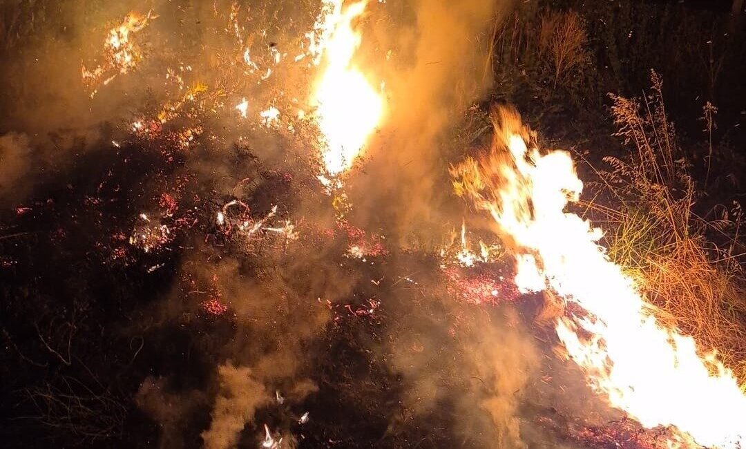 Denizli’nin Sarayköy ilçesi Tosunlar Mahallesi girişinde meydana gelen olayda, bir