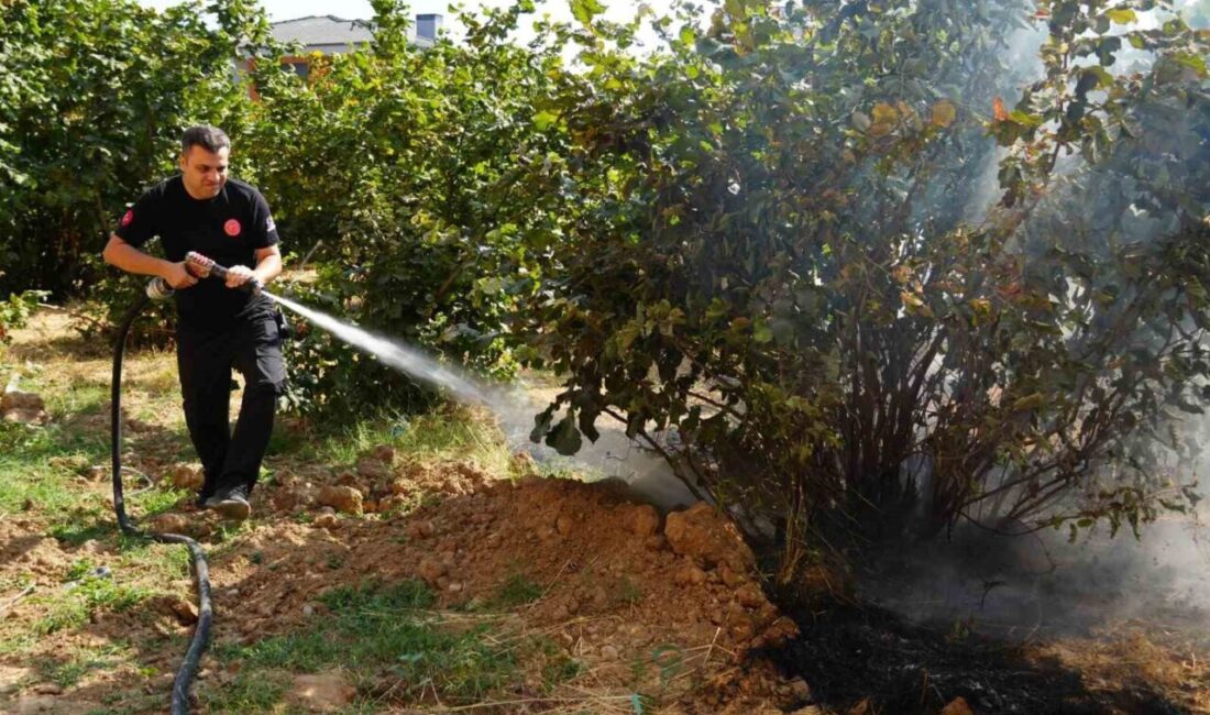 Düzce Belediyesi İtfaiye Müdürlüğü, son üç ayda 300 anız yangınına